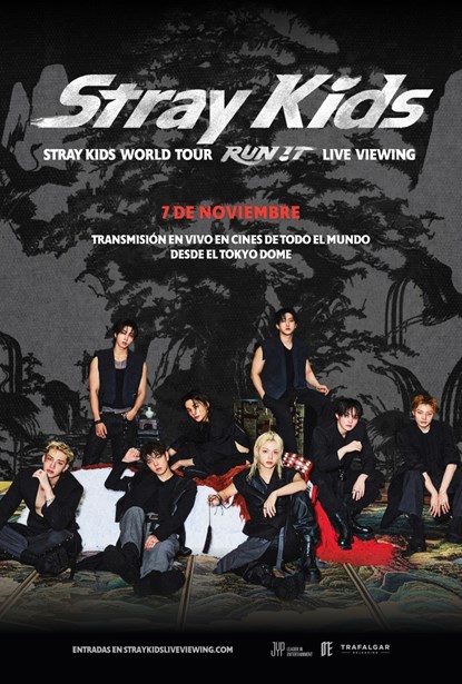 Stray Kids World Tour Run It Live Viewing